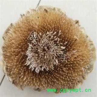 向日葵花盘 正品保证质量7天无理由退货退款 安品堂图2