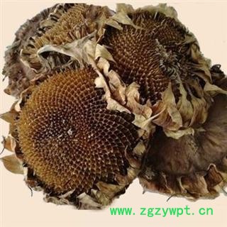 向日葵花盘 正品保证质量7天无理由退货退款 安品堂图3