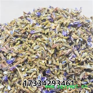 葛花  葛根花 小花 别称 鹿藿 黄斤 鸡齐根