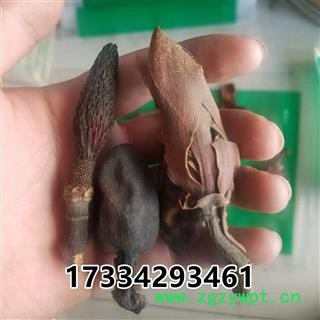 厚朴花 别称赤朴 川朴 淡伯 厚朴图4