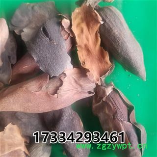 厚朴花 别称赤朴 川朴 淡伯 厚朴图2