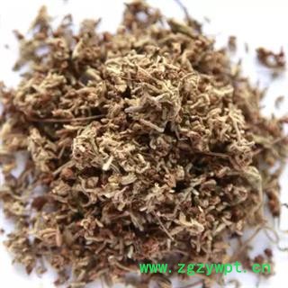 诺源中药材芫花 黄芫花图2