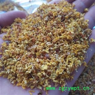 诺源药材行花茶桂花  银桂 木犀 九里香  各种规格图4