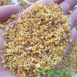 诺源药材行花茶桂花  银桂 木犀 九里香  各种规格图3