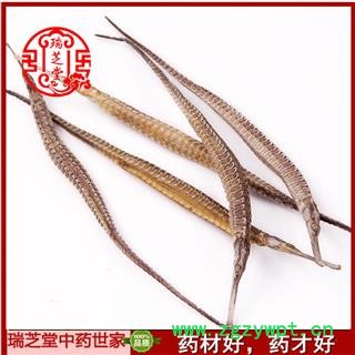 海龙统货 江苏尖海龙统货 药典正品 中药材 瑞芝堂产地直供1000克 规格齐全 一站购齐图3