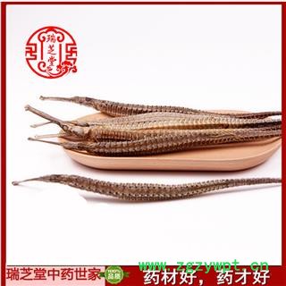 海龙统货 江苏尖海龙统货 药典正品 中药材 瑞芝堂产地直供1000克 规格齐全 一站购齐图2