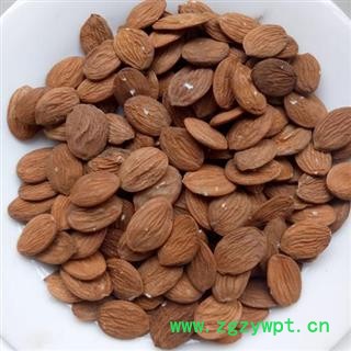 家桃仁 好统货正品保证质量7天无理由退货退款 安品堂图3