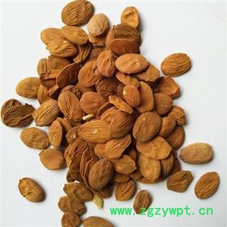 家桃仁 好统货正品保证质量7天无理由退货退款 安品堂图4