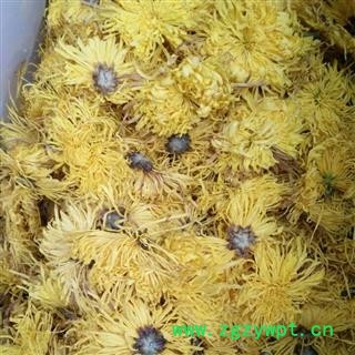 诺源药材行优质花茶菊花  金丝皇菊图3