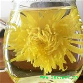 诺源药材行优质花茶菊花  金丝皇菊图4