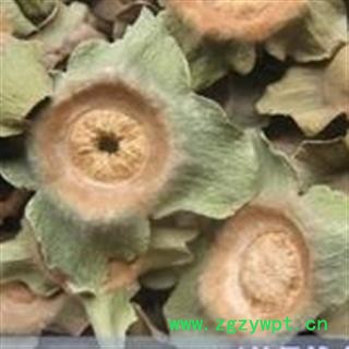 诺源药材行中药材柿蒂 柿钱 柿丁 柿萼图2