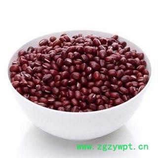 赤小豆 正品保证质量7天无理由退货退款 安品堂图2