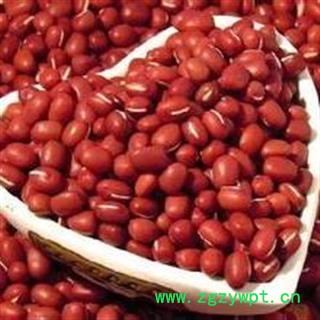 赤小豆 正品保证质量7天无理由退货退款 安品堂图3