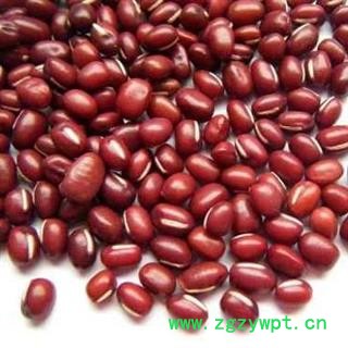 赤小豆 正品保证质量7天无理由退货退款 安品堂图4