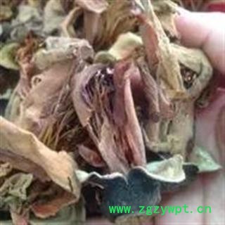 诺源药材行中药材正品无硫木棉花  攀枝花图3