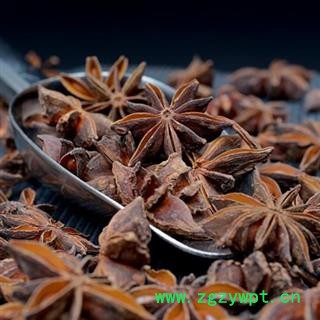 八角茴香正品保证质量 中药材批发 丽丽药业图2