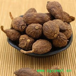 草果香料批发草果正品保证质量 中药材批发 丽丽药业图3
