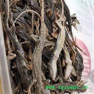 瑞森药材行 中药材麻蜥蜴 蜥蜴 沙蜥蜴图3