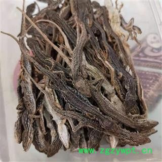 瑞森药材行 中药材麻蜥蜴 蜥蜴 沙蜥蜴图2