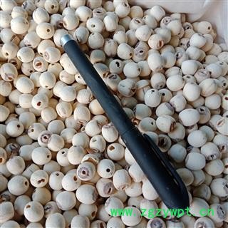 丽丽药业 白莲子 去芯白莲子中药材批发 精品选货实图拍照7天无理由退货退款图3