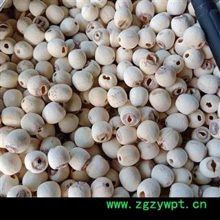 丽丽药业 白莲子 去芯白莲子中药材批发 精品选货实图拍照7天无理由退货退款图2