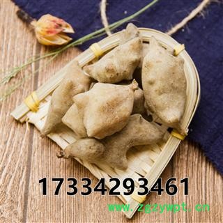 中药材 五倍子 百虫仓五倍子图3