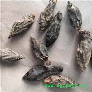 诺源药材行中药材鳖首 鳖头图2