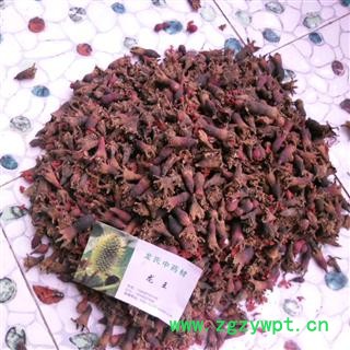 石榴花 精品 产地 四川省成都市双流县图4