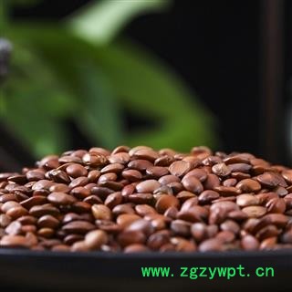 进口生酸枣仁 生枣仁  生酸枣仁 正品保证质量7天无理由退货退款图2