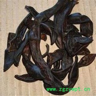 诺源药材行中药材正品清水水蛭  蚂蝗  清水图2