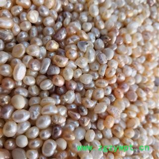 诺源药材行珍珠 淡水珍珠 内服外敷图2