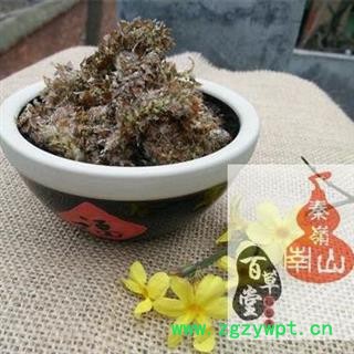 秦岭杨树花 杨花 无硫日晒 500g图2