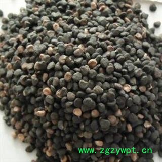 曼陀罗子 曼陀罗籽 贵一点 真的好很多 正品保证质量7天无理由退货退款 安品堂图2