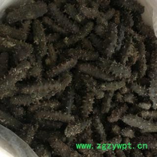 诺源中药材海参 淡盐干海参 辽刺海参图2