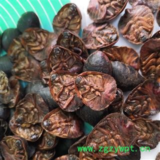 诺源药材行中药材水洗土元  土鳖虫 优质选货图2