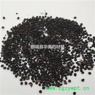 椒目 椒目统货 椒目@【至臻华美】中药材批发供应【椒目】花椒籽 椒目图4