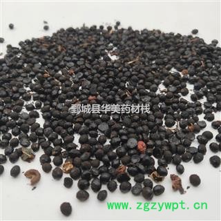 椒目 椒目统货 椒目@【至臻华美】中药材批发供应【椒目】花椒籽 椒目图2