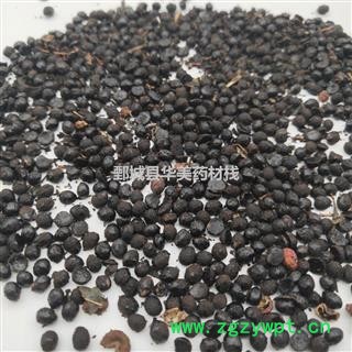 椒目 椒目统货 椒目@【至臻华美】中药材批发供应【椒目】花椒籽 椒目图3