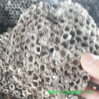 诺源药材行蜂房 露蜂房 蜂肠 马蜂窝 蜂巢 马蜂包图4
