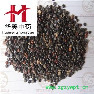 水红花子 水红花子净货 产地 辽宁省 华美中药 产地直销 重在品质图2