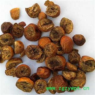 川楝子 统货 产地 四川 华美中药 产地直销 重在品质图3