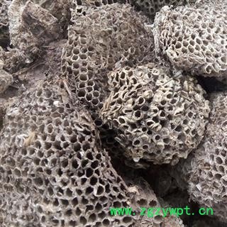 安祁名药蜂房 软蜂房统货 产地 河北省图2