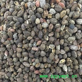 砂仁 砂仁米统货 产地 海外☎➀➄➅➄➂⓪➄➃➄➅➆【华美药材栈 产地直销 品质保证】图2