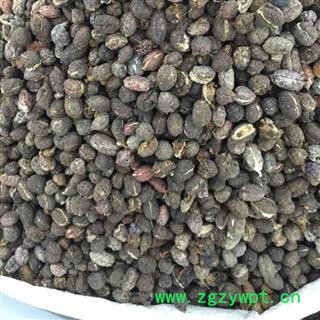 砂仁 砂仁米统货 产地 海外☎➀➄➅➄➂⓪➄➃➄➅➆【华美药材栈 产地直销 品质保证】图3