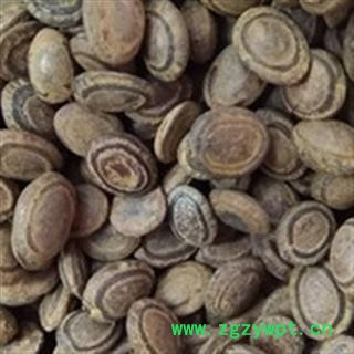 安祁名药正品猴枣  羊肠枣图2