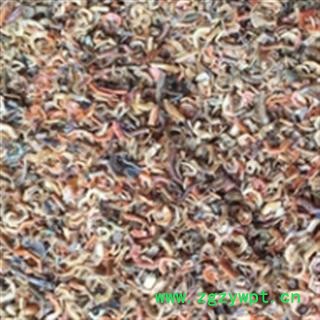 安祁名药蜈蚣  蜈蚣腿图2