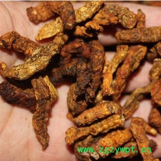 安祁名药僵蚕 僵蚕 产地 四川省图2