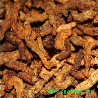 安祁名药僵蚕 僵蚕 产地 四川省图3