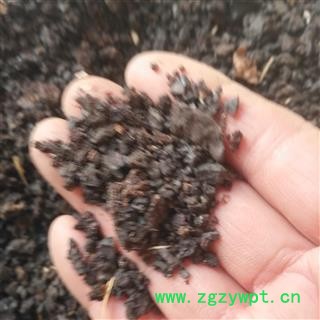 安祁名药中药材猪血  猪血块图2