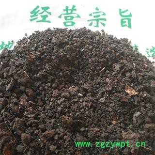 安祁名药中药材猪血  猪血块图3